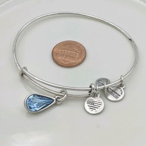 Alex Ani Rafaleian Silver Water Of Life Bracelet
